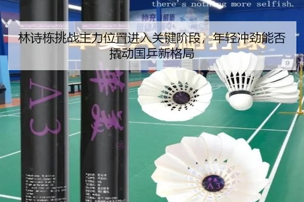 林诗栋挑战主力位置进入关键阶段，年轻冲劲能否撬动国乒新格局